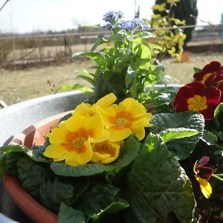 Ferienwohnung Gartenblick * Rottenbach (Roth)